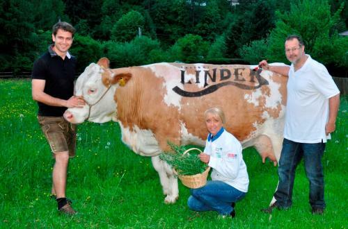 Hostal Gasthof - Pension Linder
