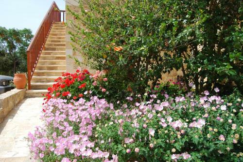 Apartamento Golden Sun Petrina