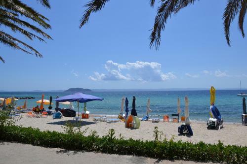 Happy Camp Mobile Homes In Castello Camping & Summer Resort