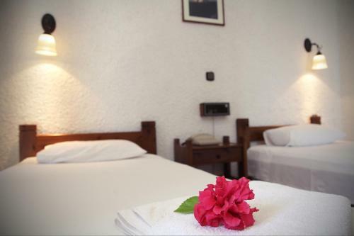 Hotel - Apartments Delfini