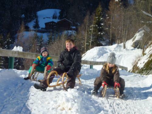 Hostal Hotel Gasthof Islitzer
