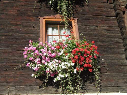 Agroturismo Hansenhof