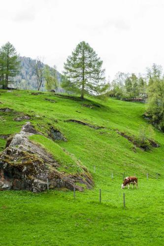 Hotel Heimat - Das Natur Resort