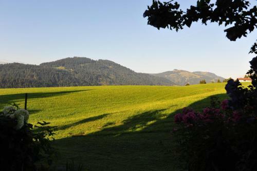 Apartamento Appartement P�ll