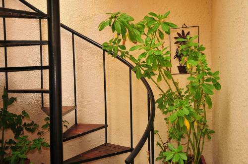Apartamentos Bradclin House