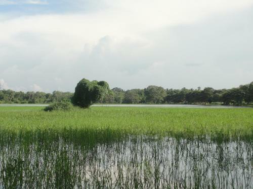 Bed & Breakfast Kulama, The Lake Villa
