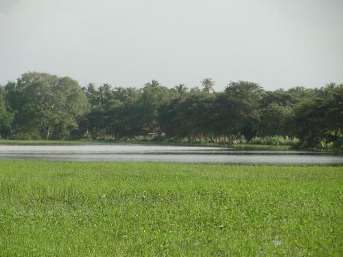 Bed & Breakfast Kulama, The Lake Villa