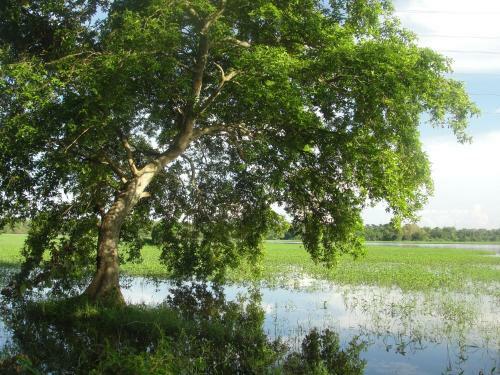 Bed & Breakfast Kulama, The Lake Villa