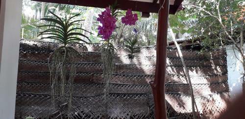 Hotel Yaluwa Tourist Rest