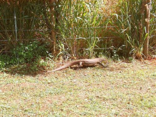 Bed & Breakfast Green Cottage