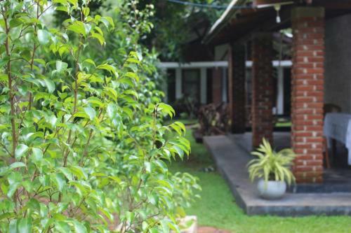 Bed & Breakfast Green Cottage