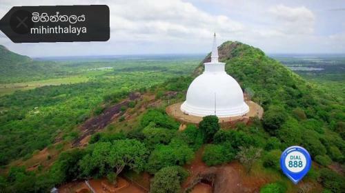 Bed & Breakfast Green Cottage