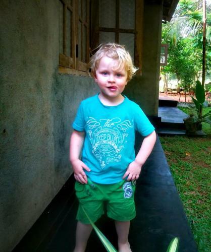 Bed & Breakfast Green Cottage