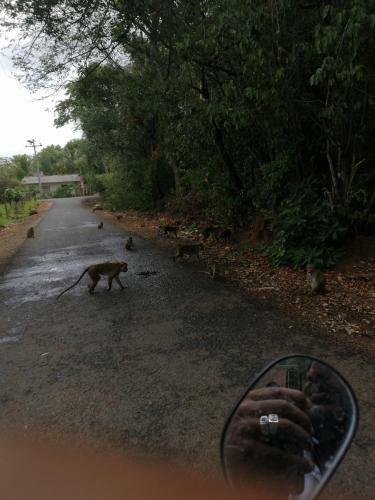 Bed & Breakfast Green Cottage