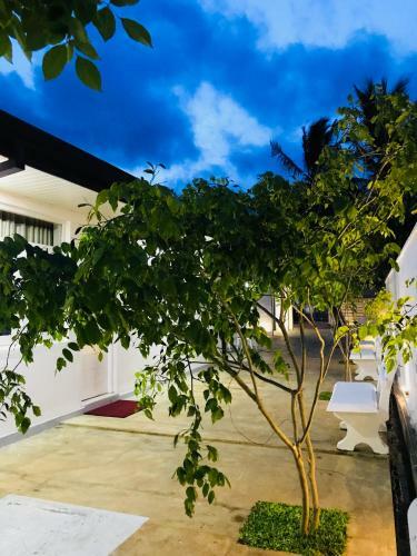 Hostal Royal White Tourist Rest