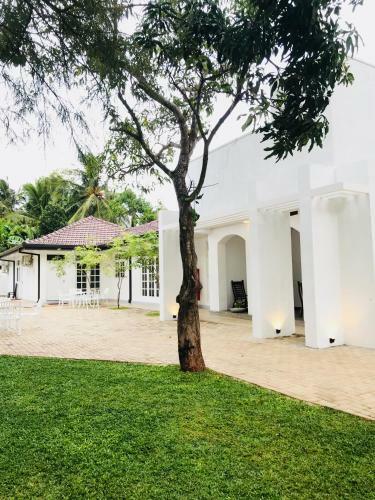 Hostal Royal White Tourist Rest