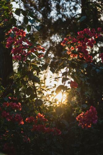 Villa Republic Bandarawela