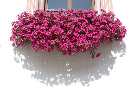 Hotel Gasthof Neuner
