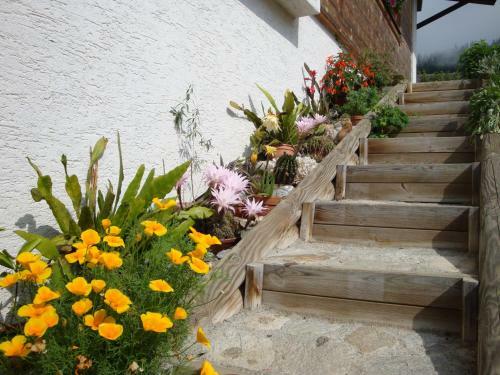 Apartamento Appartment Lerch