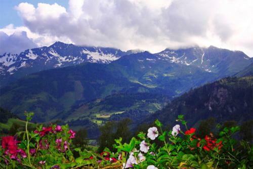 Apartamento Haus Plaickner Am See