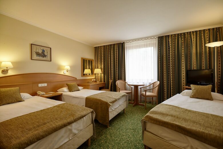 Hotel Erzsebet City Center