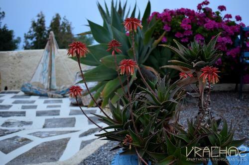 Vrachos Apartments