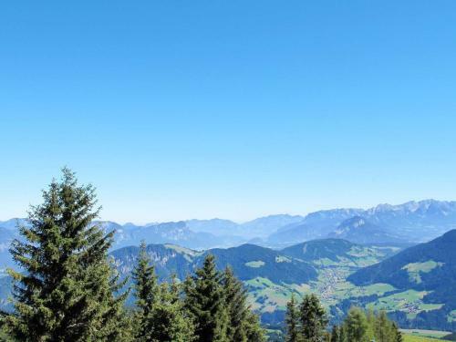 Holiday Home Huberhof (wil105)