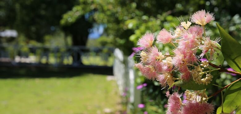 Agroturismo Honeybee - Country Accommodation