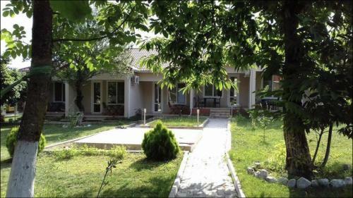 Gabala Dreams