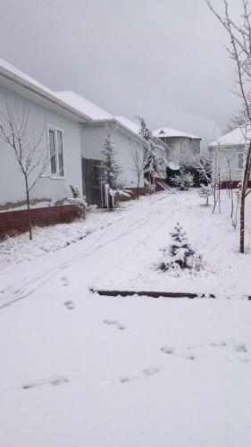 Gabala Homes Musa
