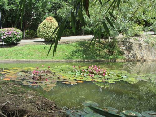 Visal Bungalows