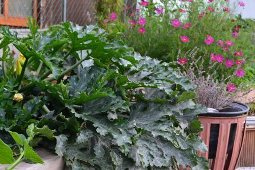 Bed & Breakfast G�stezimmer Gerlinde