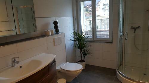 Apartamento Attika Wohnung Spiez