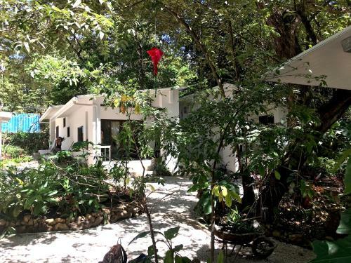 Driftwood Glamping & Boutique Hotel