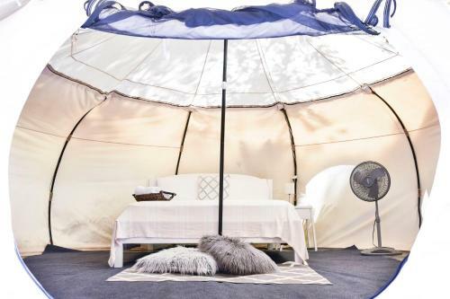 Driftwood Glamping & Boutique Hotel