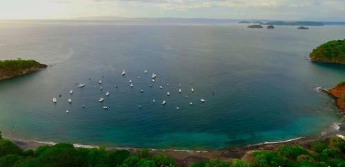Villa Paradizo Ocean View-up To 14 People