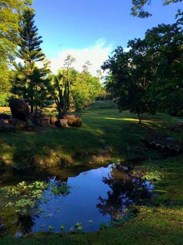 Buena Onda Jungle Lodge