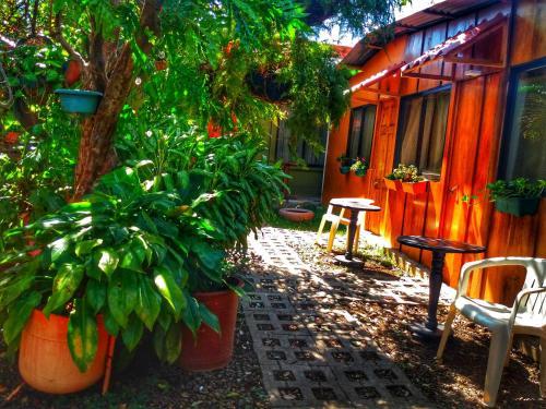 Apartamento Laurel House