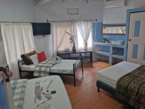 Hostal Hotel Cafe Del Mar, En Valle Pura Vida