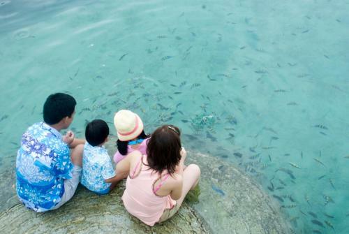 Hotel Paradise Island Park & Beach Resort