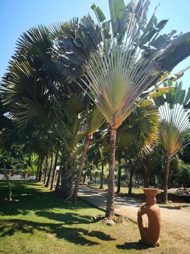 Apartahotel Playa Luna