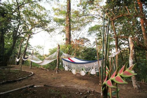 Teva Jungle Hotel & Hostel