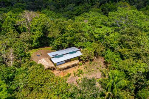 Osa Jungle Hostel