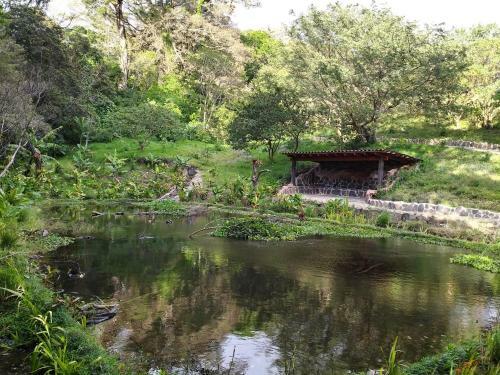 Hotel Aguti Lodge & Reserve