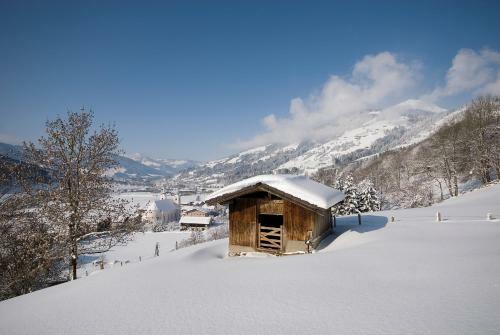 Apartamento Landhaus Bachler