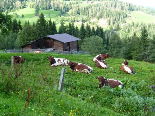 Apartamento Appartements Oberhof