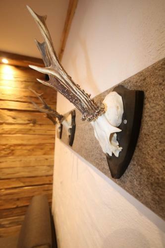 Apartamento Appartementhaus Brunnenhof