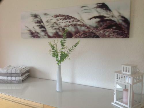 S_hisli Ferienhaus Neuenburg _ Per