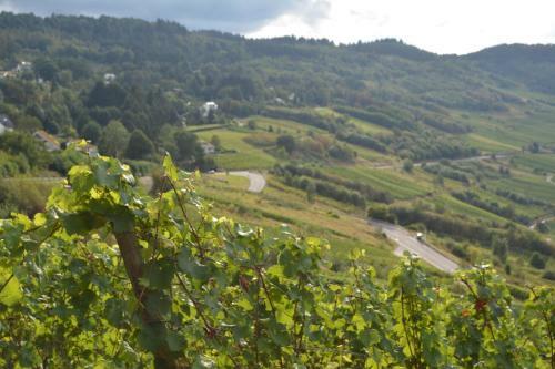 Bed & Breakfast Ferienhaus Schmelzm�hle