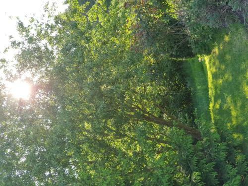 Charming Apartment In Weinsheim With Garden